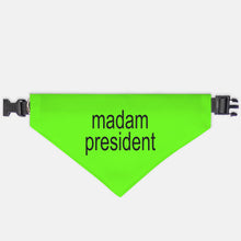 Madam President, Brat, Collar Pet Bandana (Large & XL)