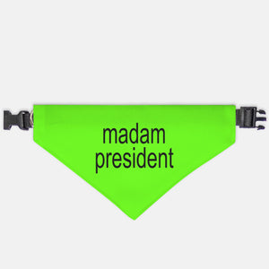 Madam President, Brat, Collar Pet Bandana (Large & XL)