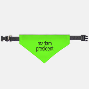 Madam President, Brat, Collar Pet Bandana (Sm & Med)