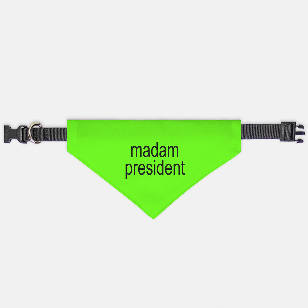 Madam President, Brat, Collar Pet Bandana (Sm & Med)