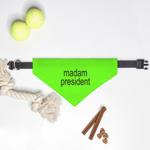 Madam President, Brat, Collar Pet Bandana (Sm & Med)