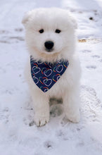 LINKED HEARTS | COLLAR PET BANDANA | LARGE & XL