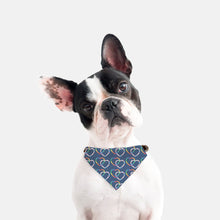 LINKED HEARTS | COLLAR PET BANDANA (SMALL & MEDIUM)