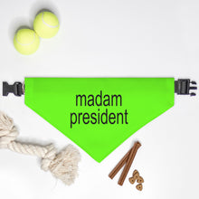 Madam President, Brat, Collar Pet Bandana (Large & XL)