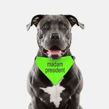 Madam President, Brat, Collar Pet Bandana (Large & XL)