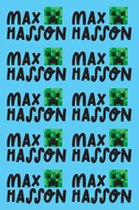 CUSTOM NAME LABELS | STICKER SHEETS <p style=font-size:16px>*more styles</p>